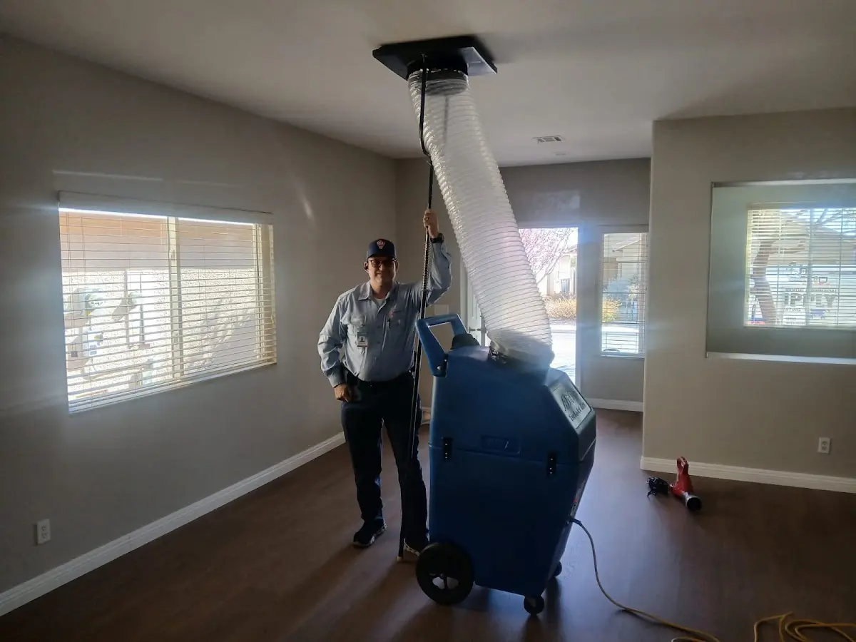 Professional Dryer Vent Cleaning work inside a Acton home